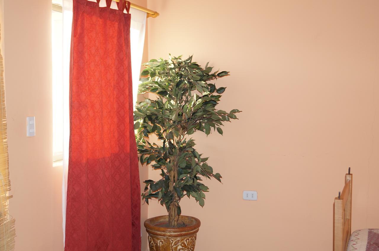 Hostal Intipara San Pedro De Atacama Zewnętrze zdjęcie